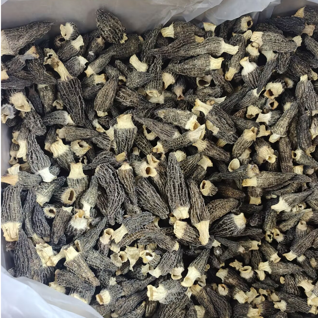 @四川羊肚菌干货