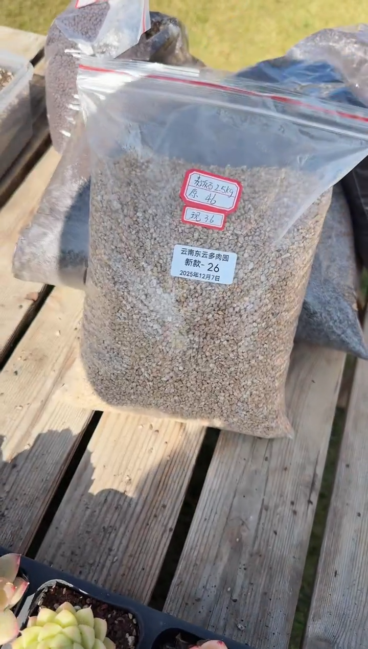 东云多肉园新款-26