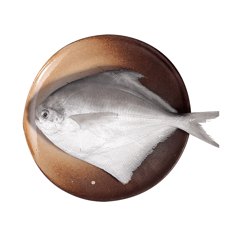 宜客小白鲳鱼（60-80g）2kg