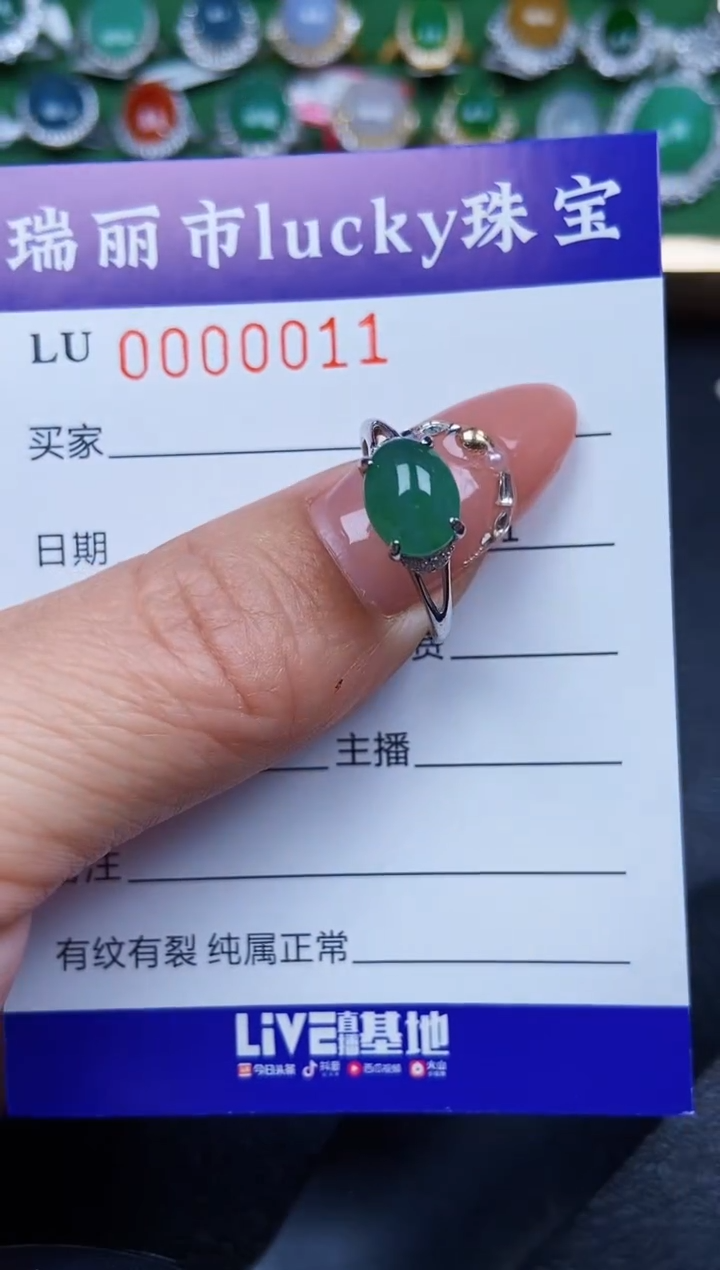 【闪购商品】翡翠颈饰银S925镶嵌0011