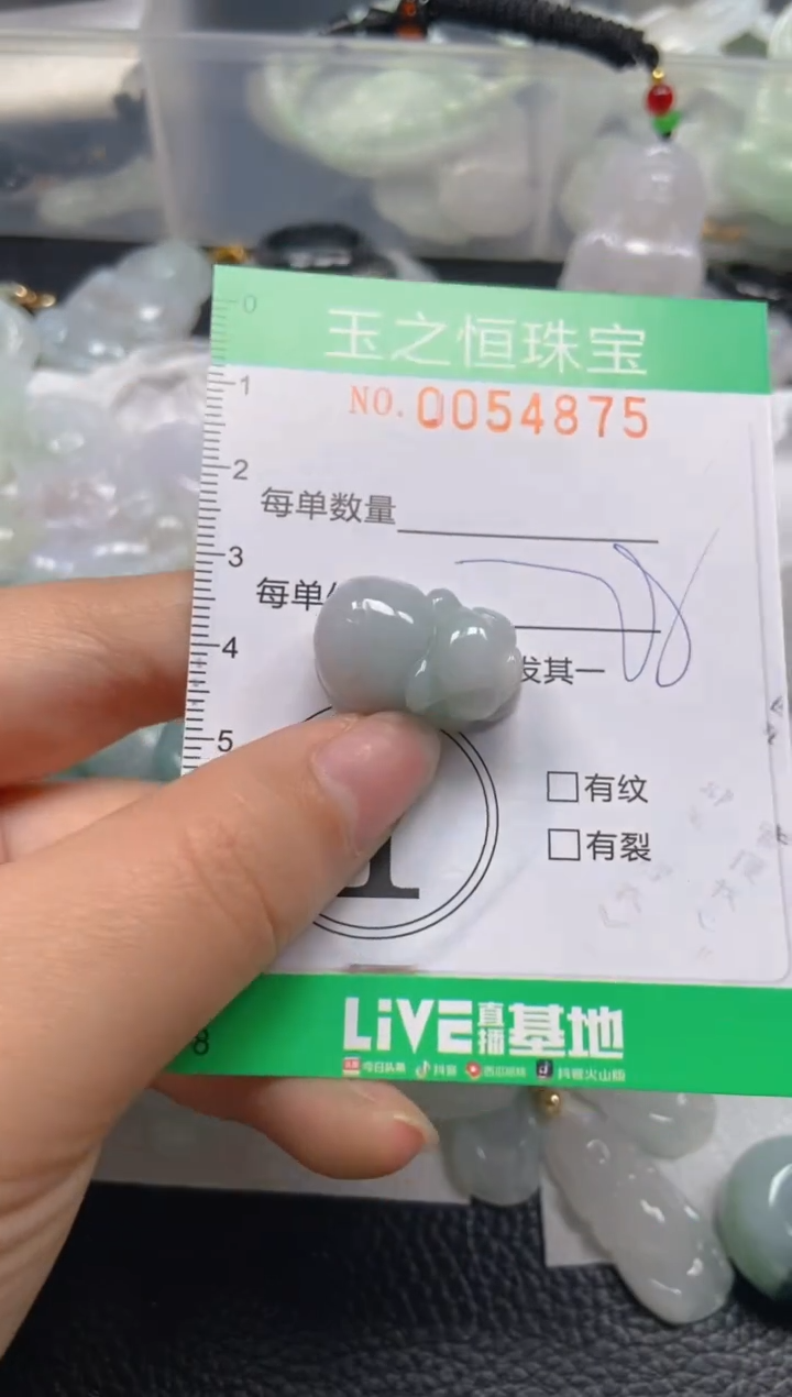 【闪购商品】翡翠未镶嵌颈饰闪购0054875