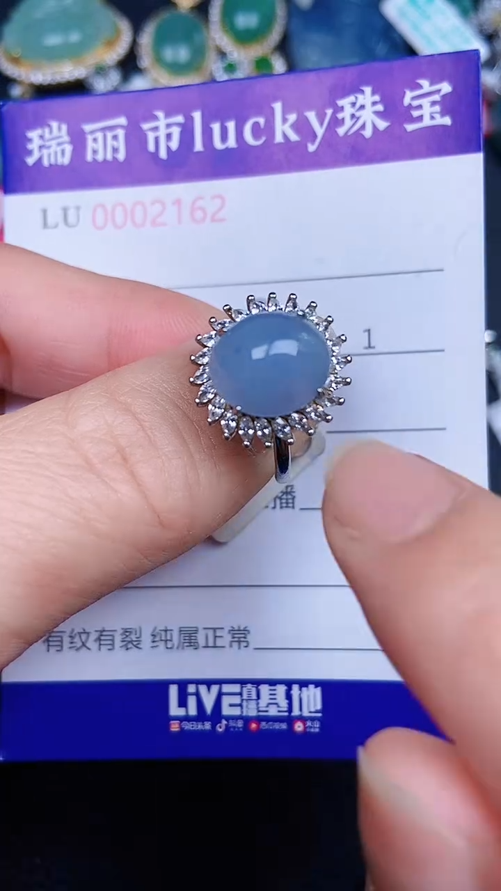 颈饰银S925镶嵌翡翠21652