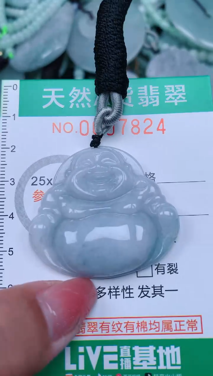 【闪购商品】翡翠颈饰未镶嵌.0007824