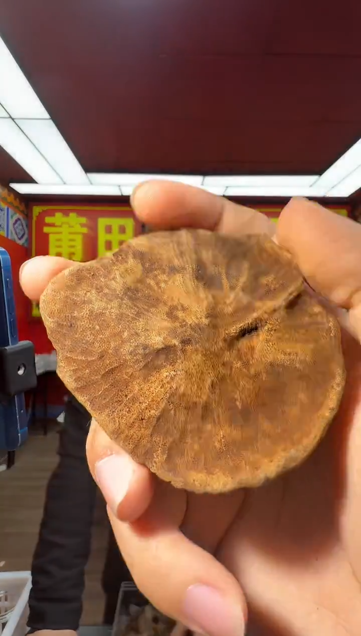 沉香吊坠e170海南多样性发一