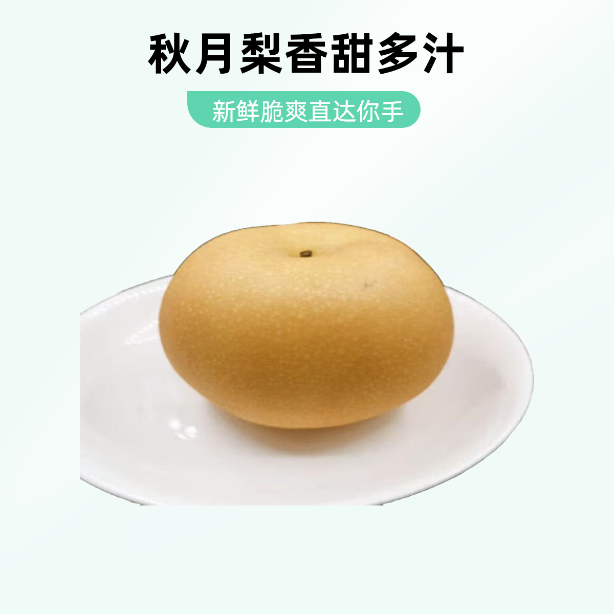 送货上门山东正宗秋月梨新鲜当季现摘脆甜多汁水果山东省