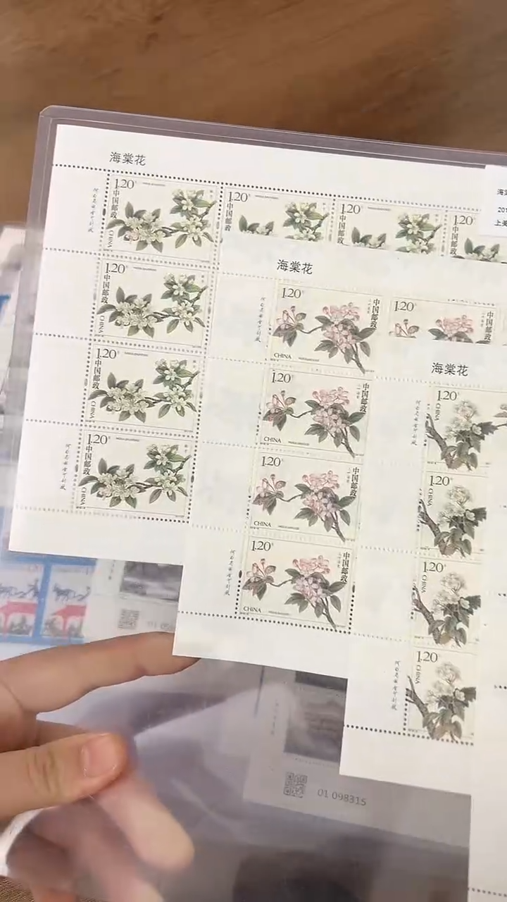 【闪购商品】海棠花大版【店铺发货】