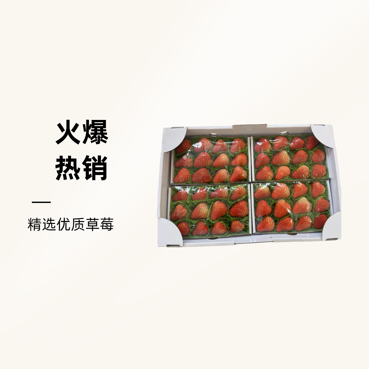 【宾购小时达】比较贵的红颜大颗草莓（3斤盒装） 