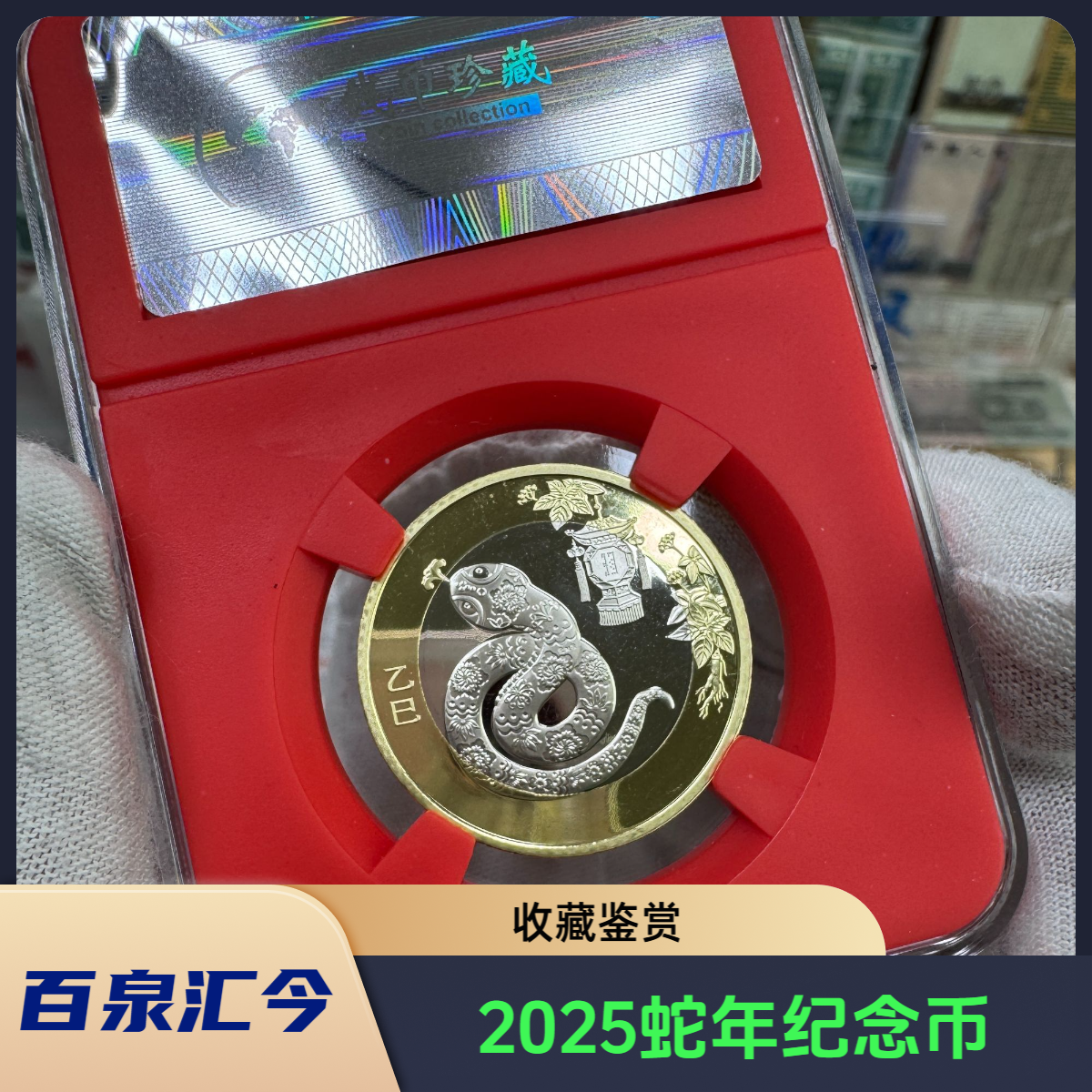 法定货币2025蛇年纪念币单枚装，多买合适
