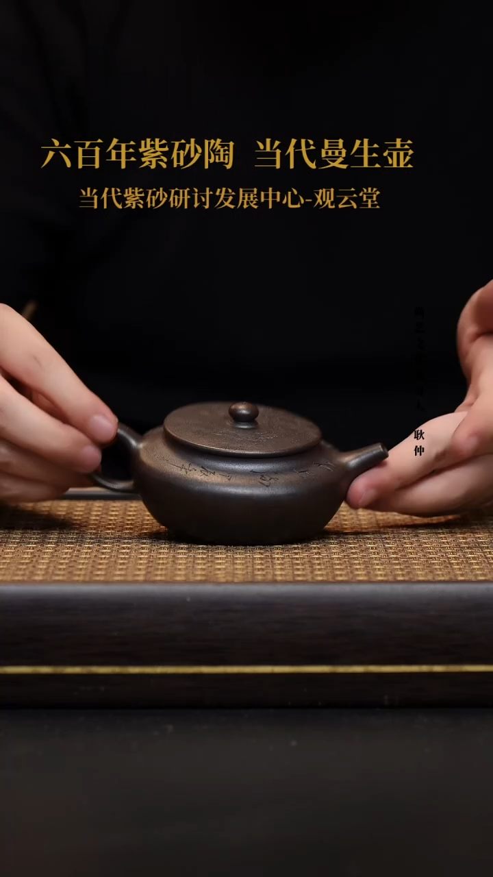 茶壶紫砂宜兴紫砂壶扁晨柴烧