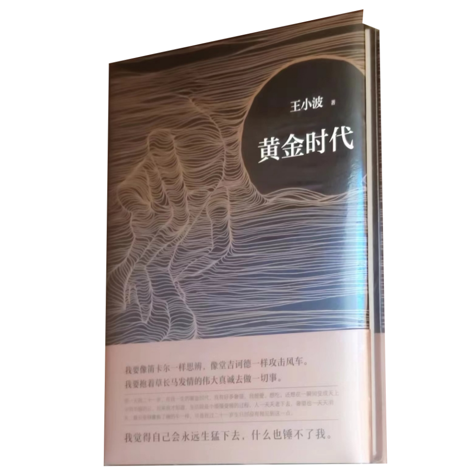 当代文学之王小波：黄金时代