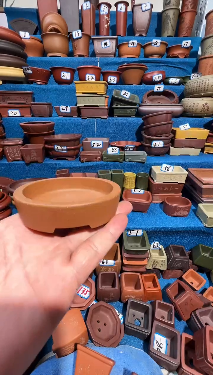 【闪购商品】紫砂紫砂花盆8*6.5*1.5