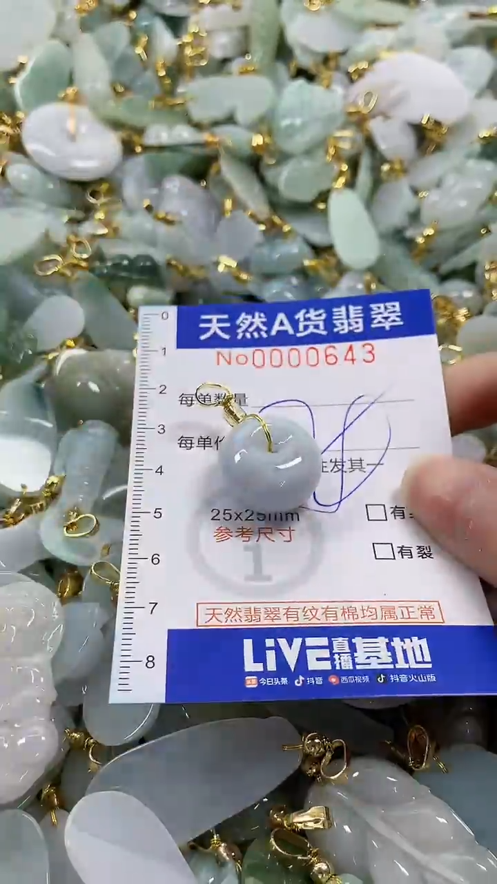 颈饰未镶嵌翡翠纯天然a货翡翠