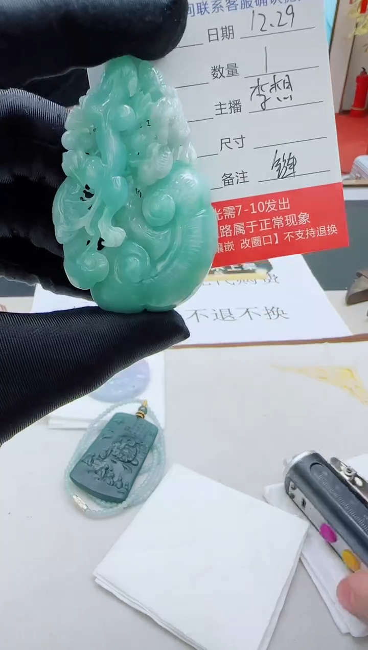 未镶嵌定制翡翠LX81翡翠吊坠赠珠链-多样性发其一