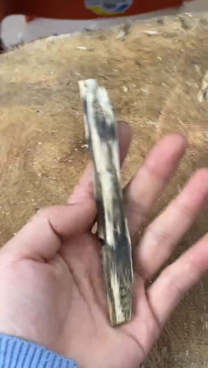 手把件沉香木棋楠沉香 原料文创1