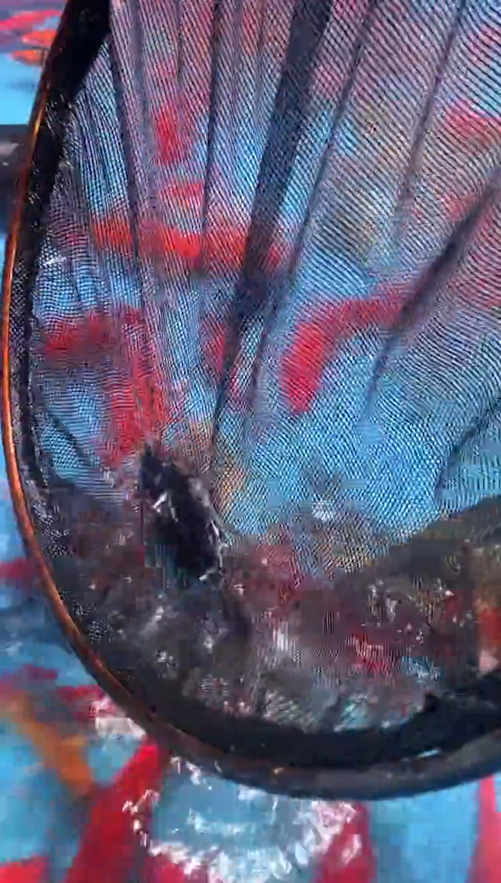 1111111111111111111111