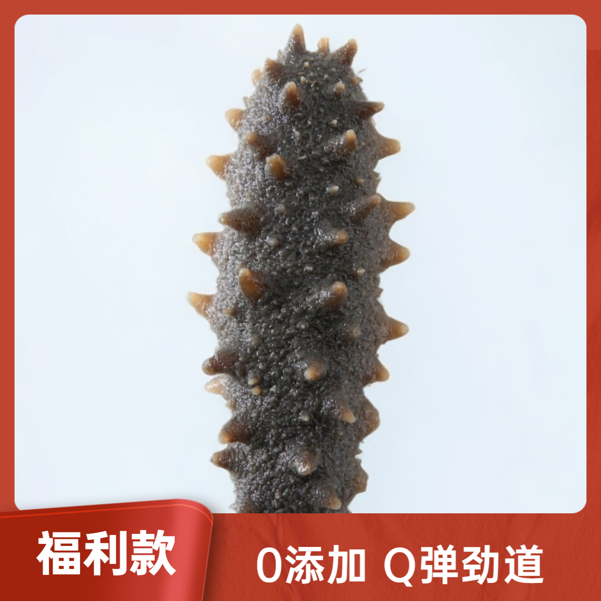 渔舫鲜（中秋福利）鲜蒸即食海参 13-14头深水Q弹劲道高品质福利款 