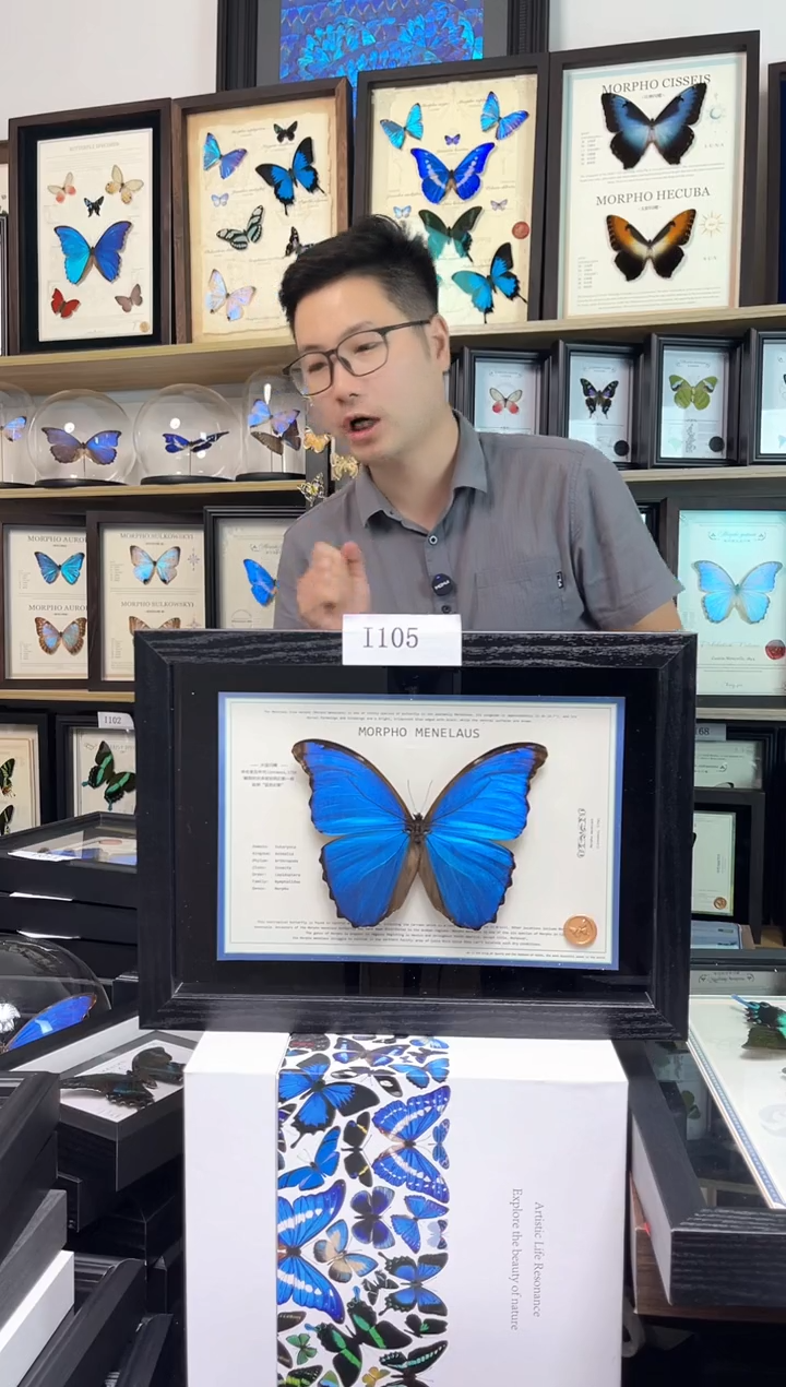 大蓝闪蝶 A4设计款i105