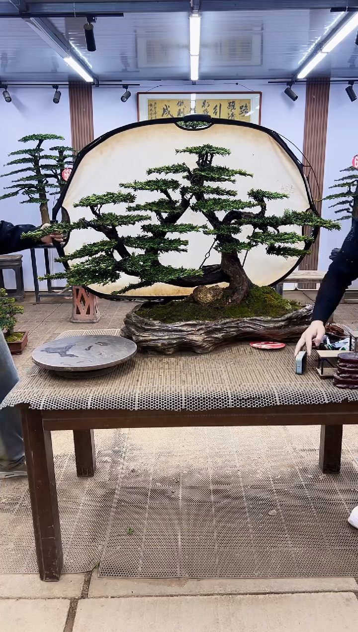 【闪购商品】0000000