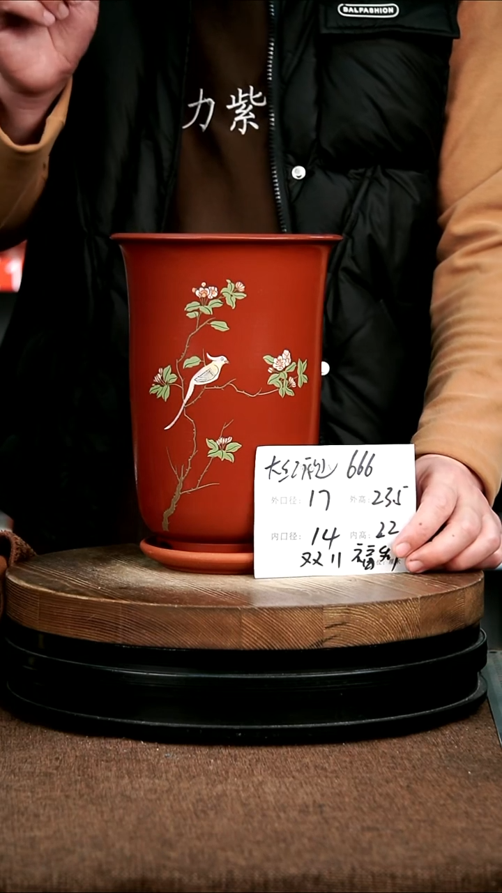 紫砂花盆花卉园艺666+Z