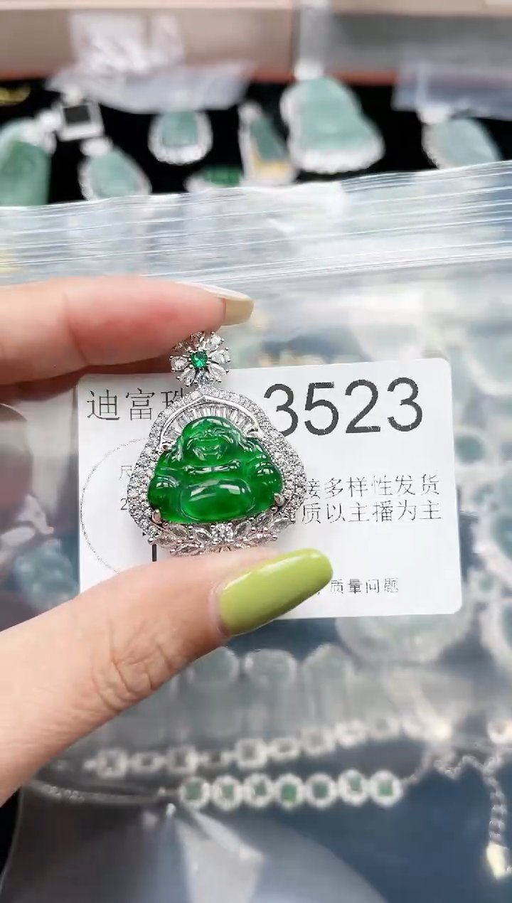【闪购商品】翡翠颈饰未镶嵌赠皮绳3523
