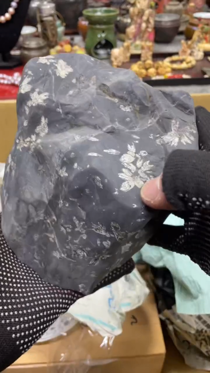 【闪购商品】杯瓷瓷瓷瓷瓷瓷瓷瓷瓷