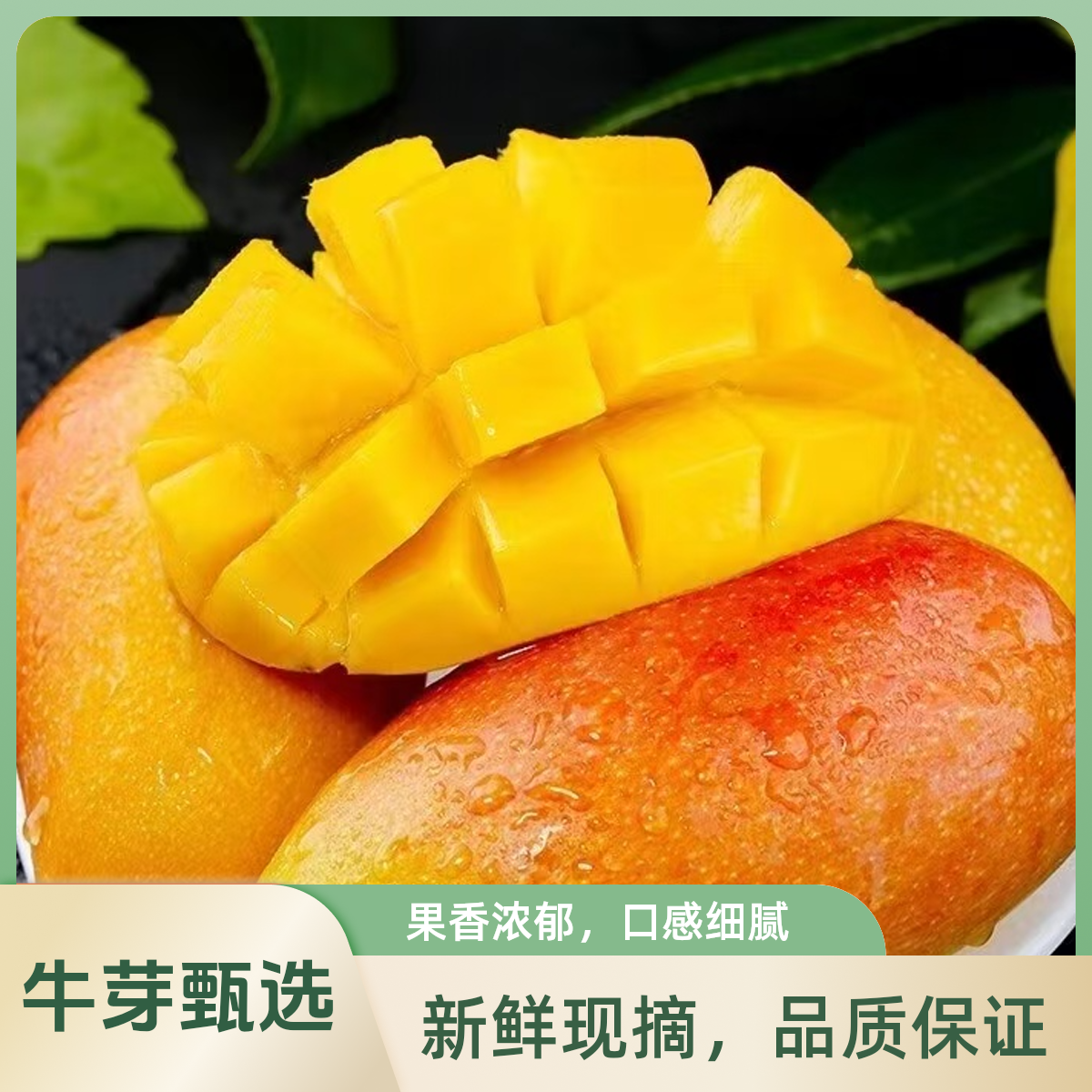  【牛芽甄选】正宗海南贵妃芒-净重4斤|皮薄肉厚，香甜多汁|