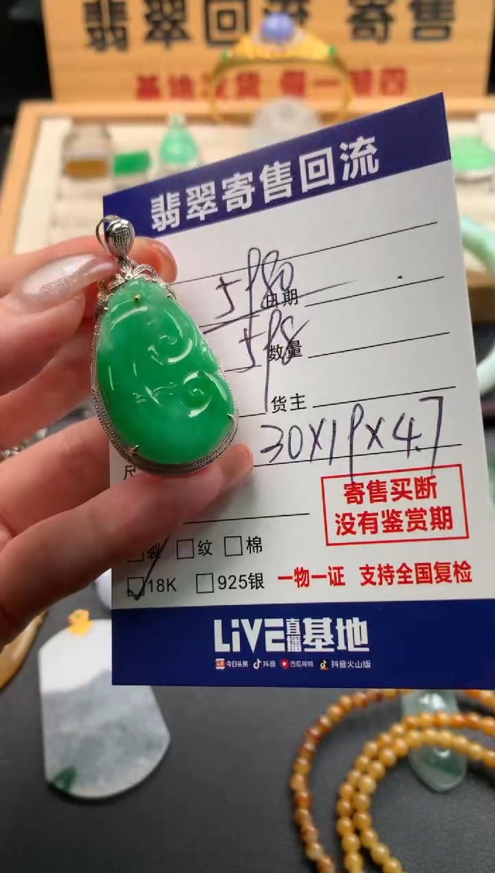 翡翠18K金镶嵌颈饰10142009