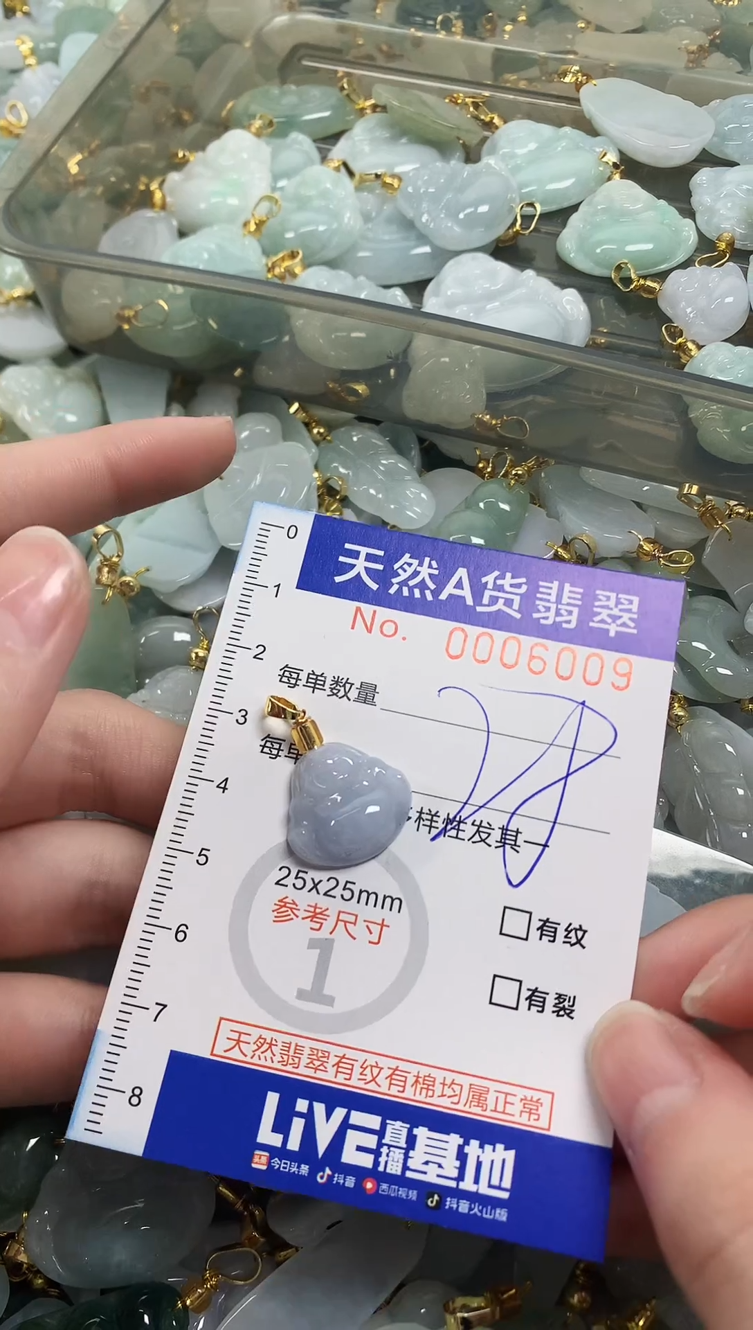 颈饰未镶嵌翡翠天然a货翡翠