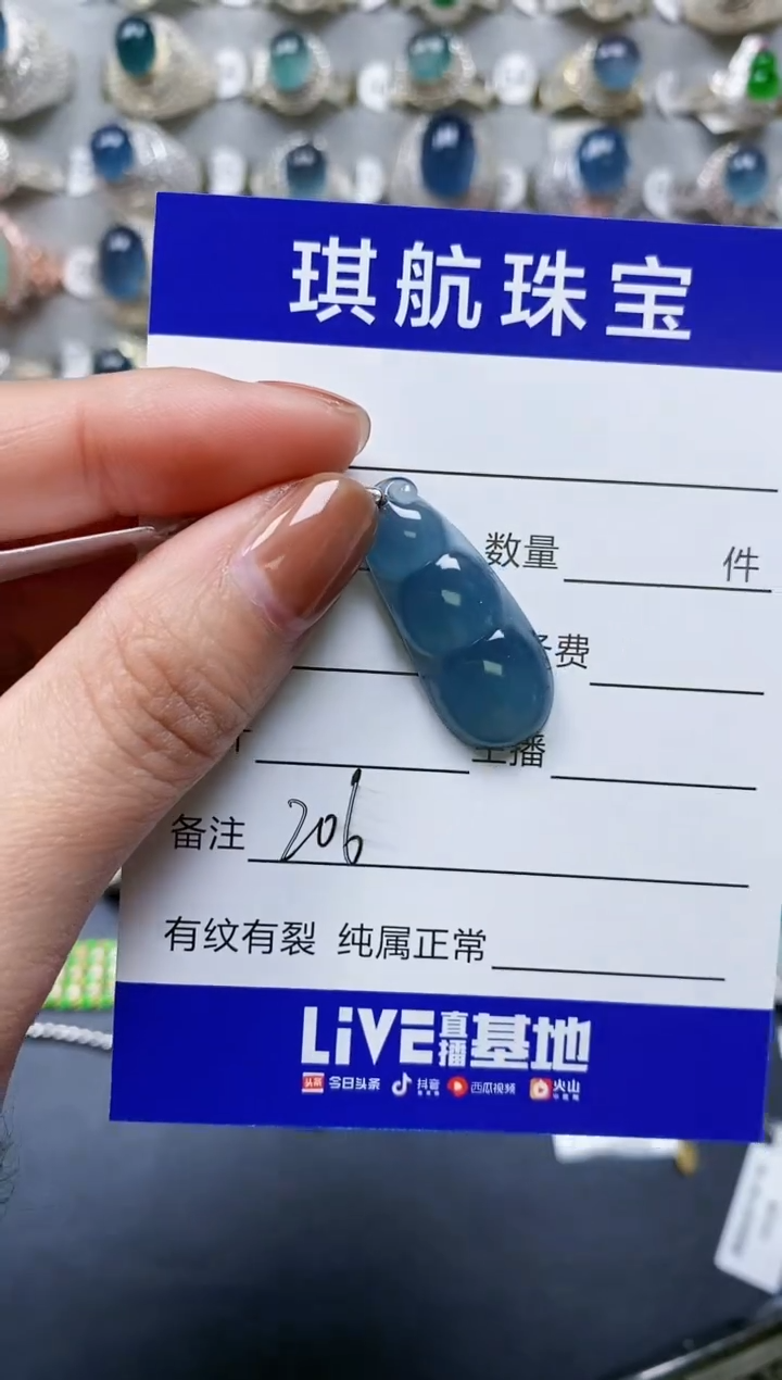 【闪购商品】翡翠颈饰银S925镶嵌0206