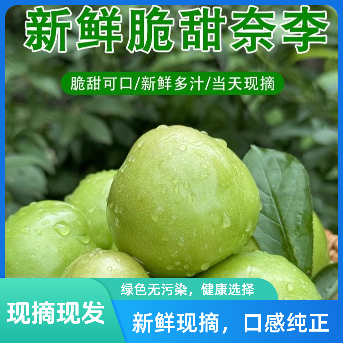正宗脱骨冰糖奈李脆甜油奈李新鲜水果树上熟应季美味5斤