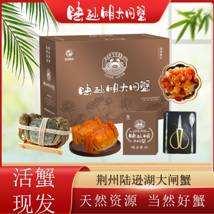 【活蟹】荆州陆逊湖精品大闸蟹 公5.5两 母4.5两8~10只  鲜活礼盒装