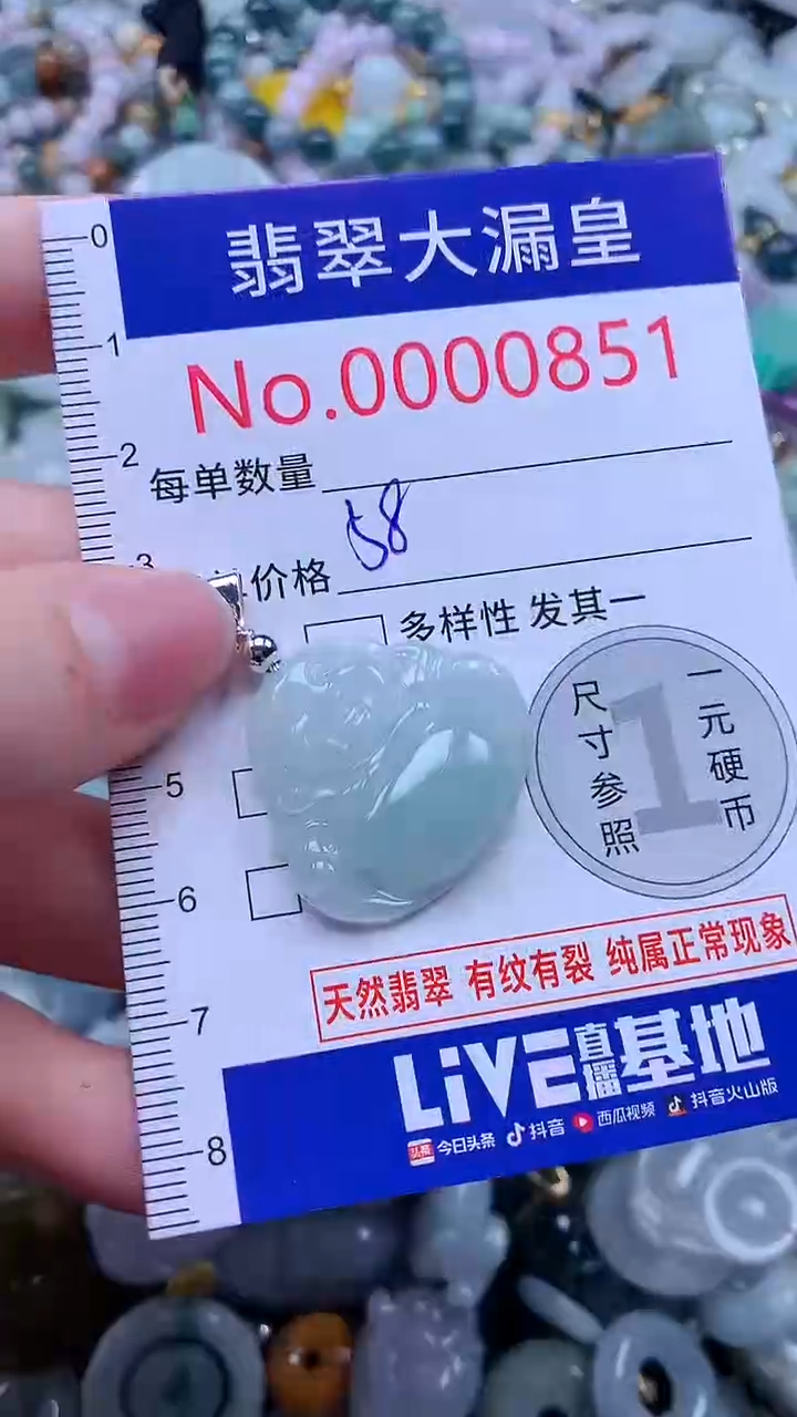 翡翠未镶嵌吊坠(不含链)0851