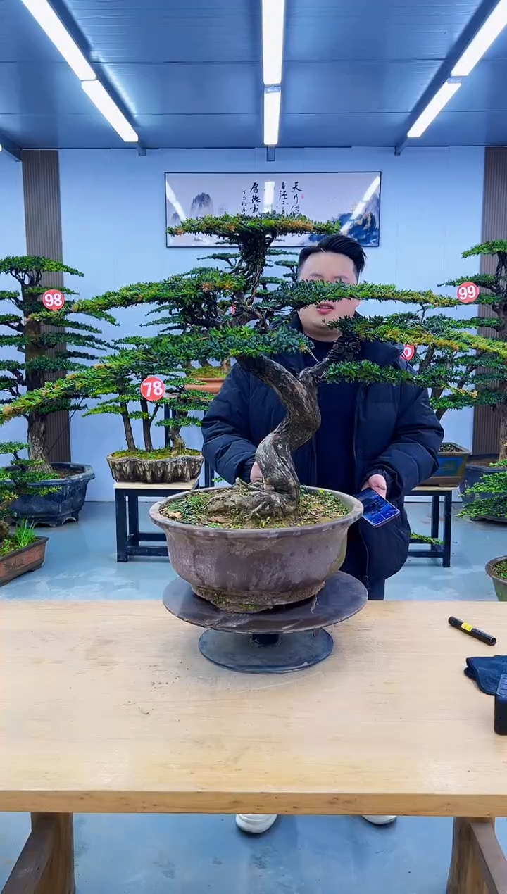 以实际为准000000