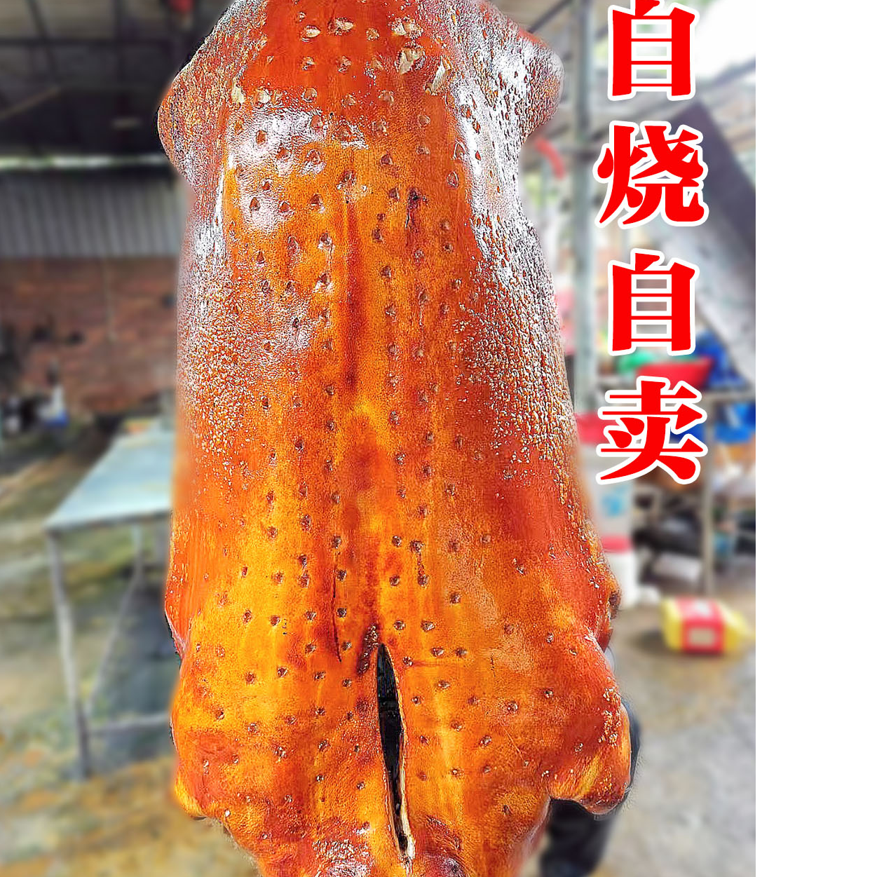 【三斤送一斤，到手4斤装】顺丰冷链【指定部位搭配】雷州英利眼镜烧猪