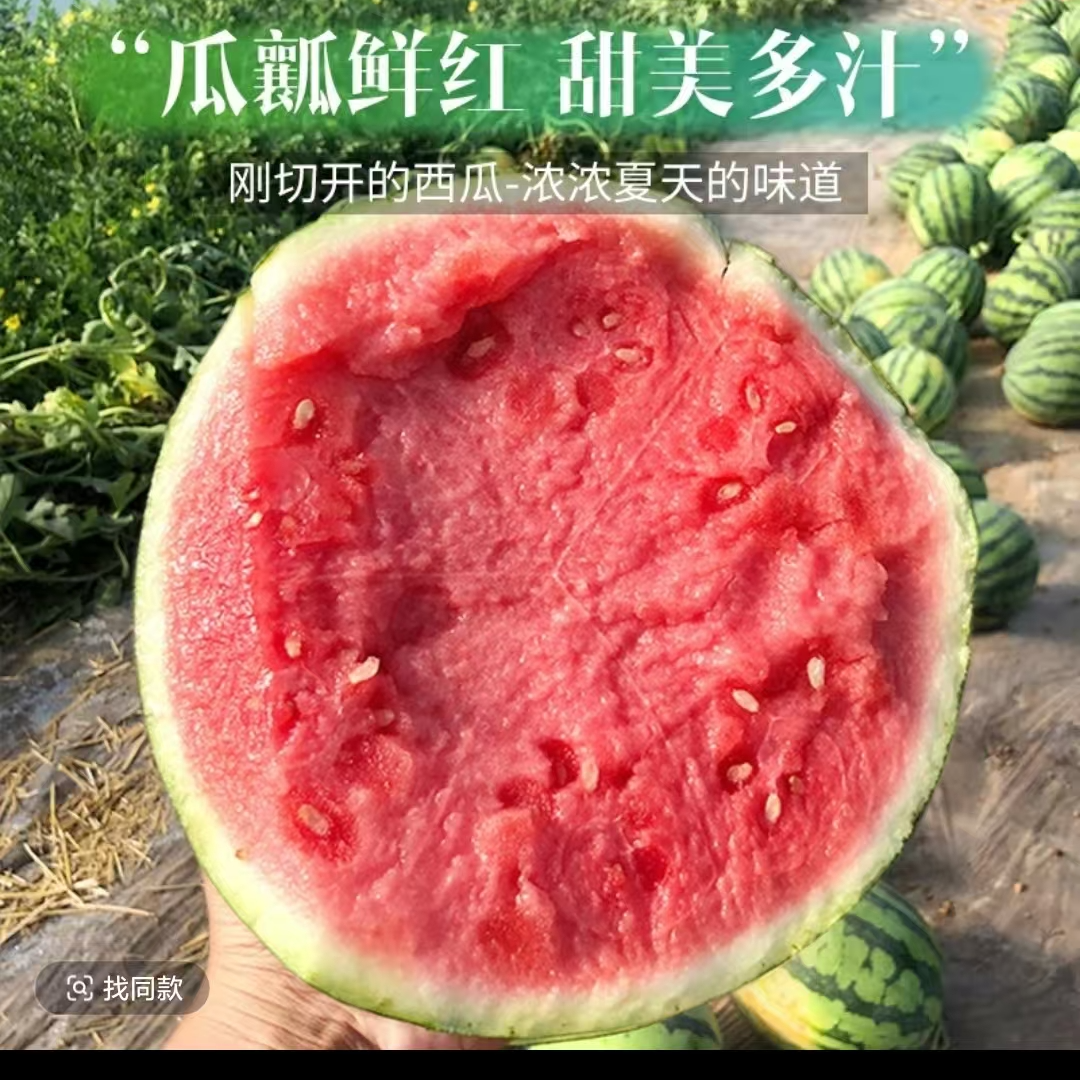 【顺丰包邮】西瓜应季薄皮现摘冰糖无籽新鲜水果超甜瓜