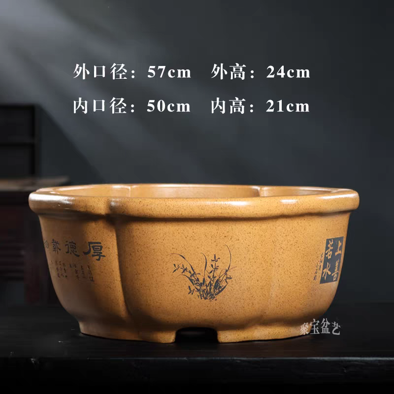 加大款梅花形紫砂花盆透气适合君子兰老桩等绿植盆栽