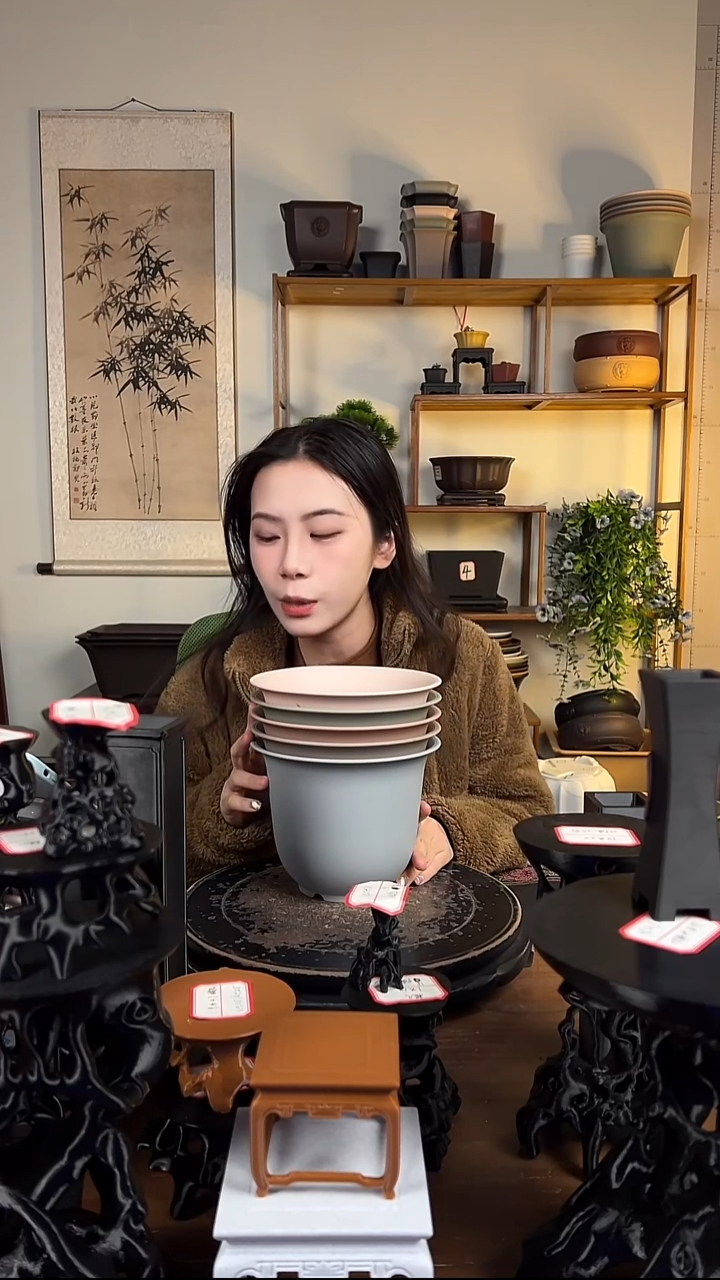 5只18口径金钟马卡龙色系