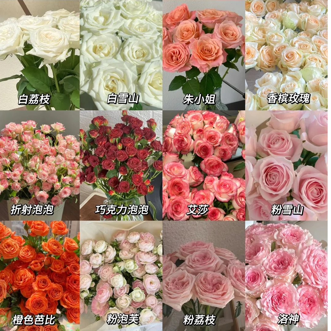  玫瑰10枝，一单冷链包邮，参与凑单升级快递，远的发德邦【玫瑰