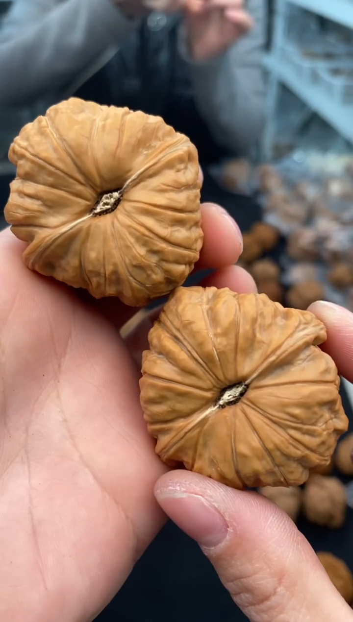 【闪购商品】文玩核桃把件南瓜墩42-t688