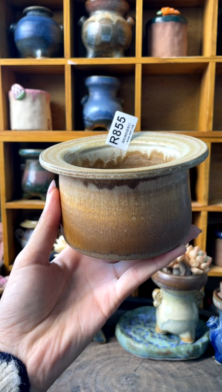 浅***念855【多肉花盆多肉盆】