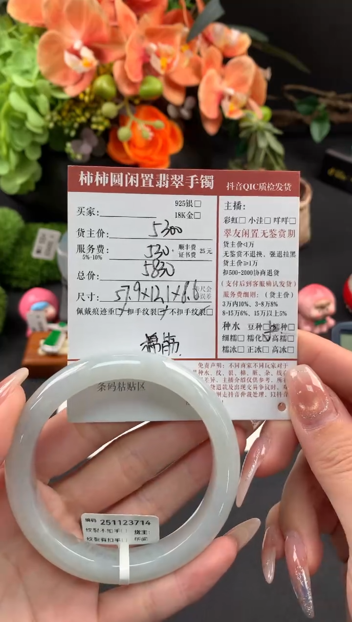 未镶嵌手镯翡翠姐姐251123714