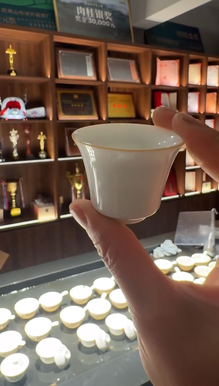 晚上金手指主人杯