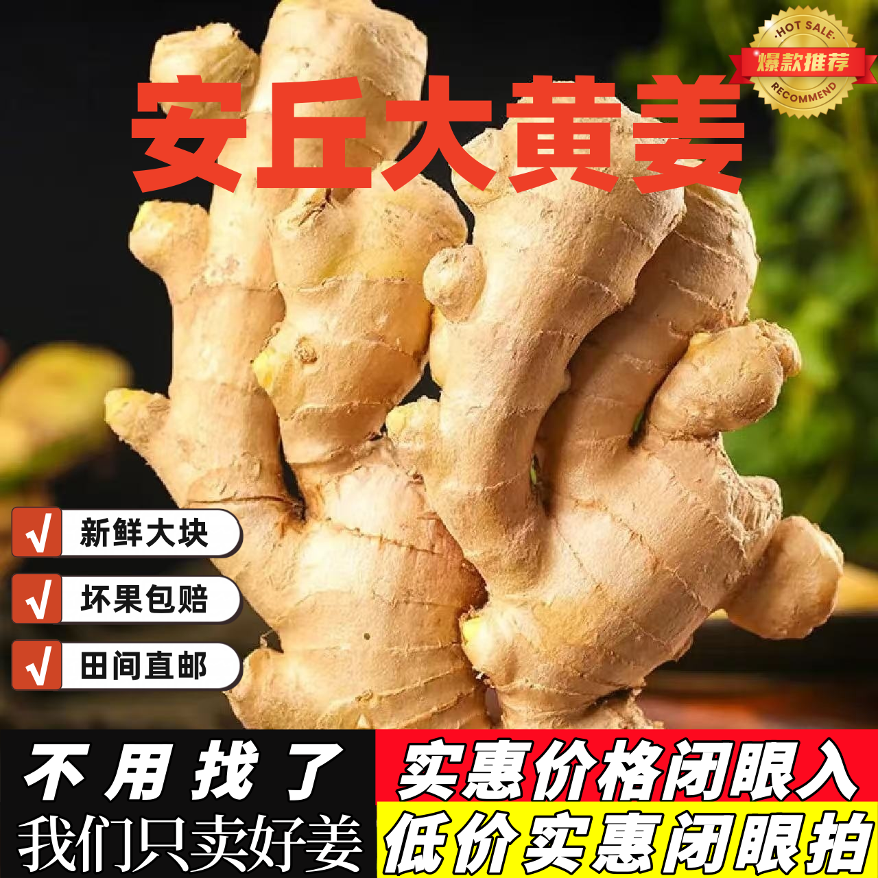 【产地直发】山东大姜黄姜风干姜现挖窖藏鲜姜老姜月子姜