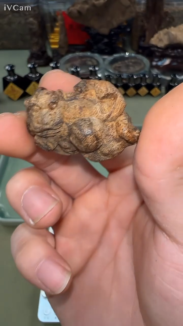 H****n达拉干软丝貔貅献宝5.2g+