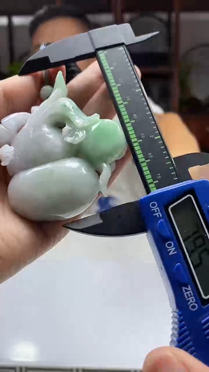 颈饰未镶嵌翡翠翡翠A货2025/12/21