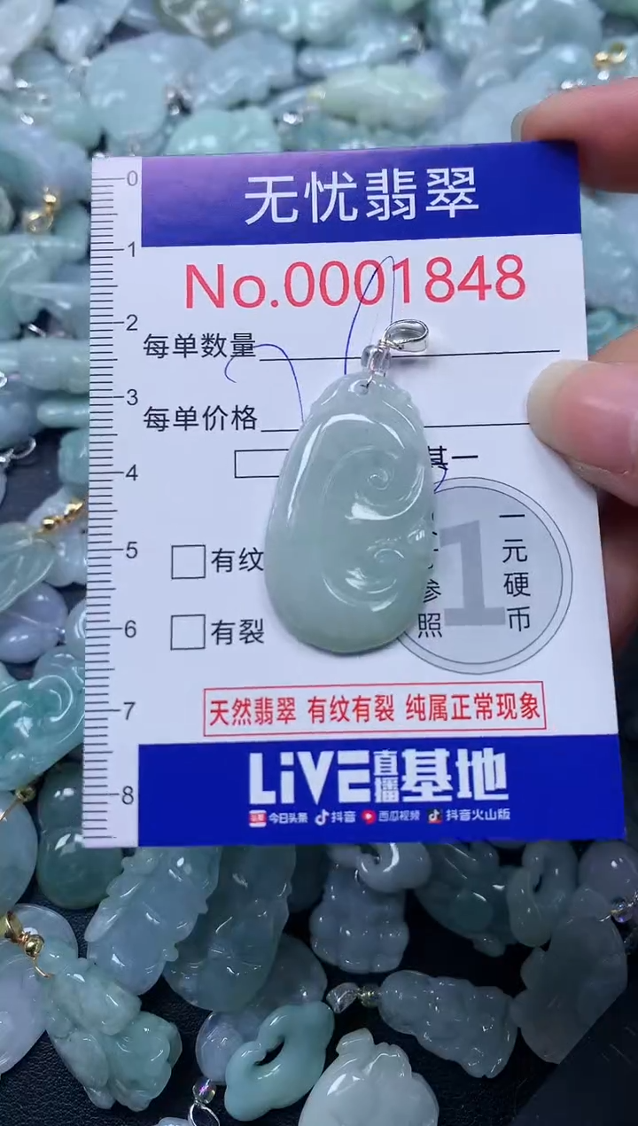 颈饰未镶嵌翡翠1848