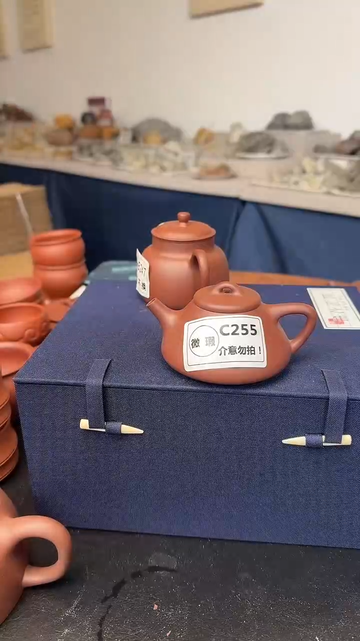茶壶紫砂微瑕C255小子冶100cc99