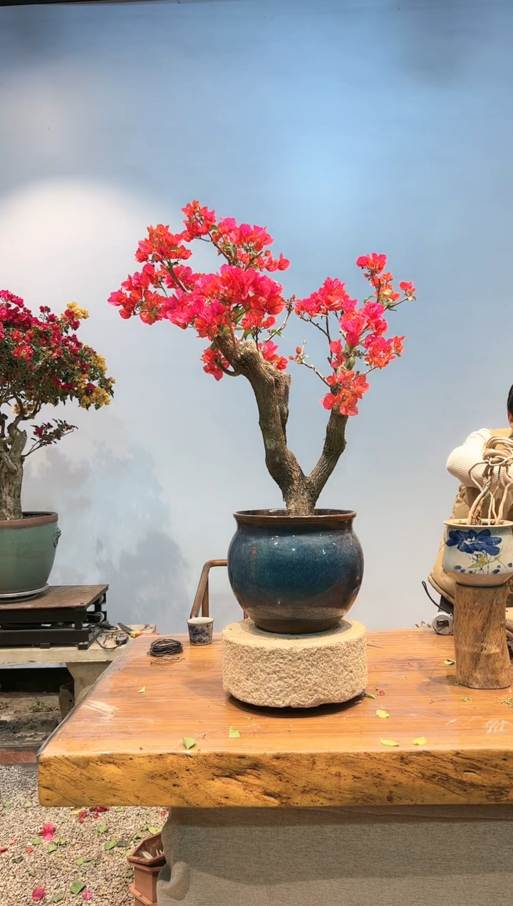 【闪购商品】AA923