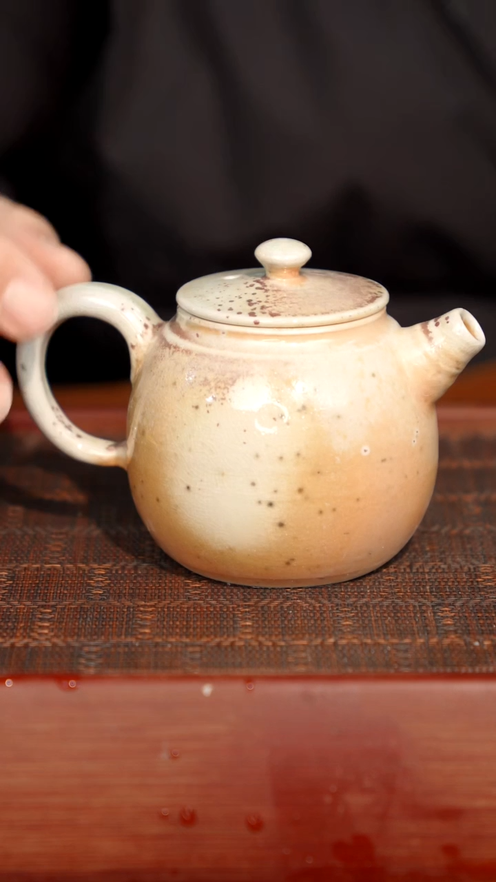 陶瓷奢瓷/瑞寅柴烧茶器（壶）0593