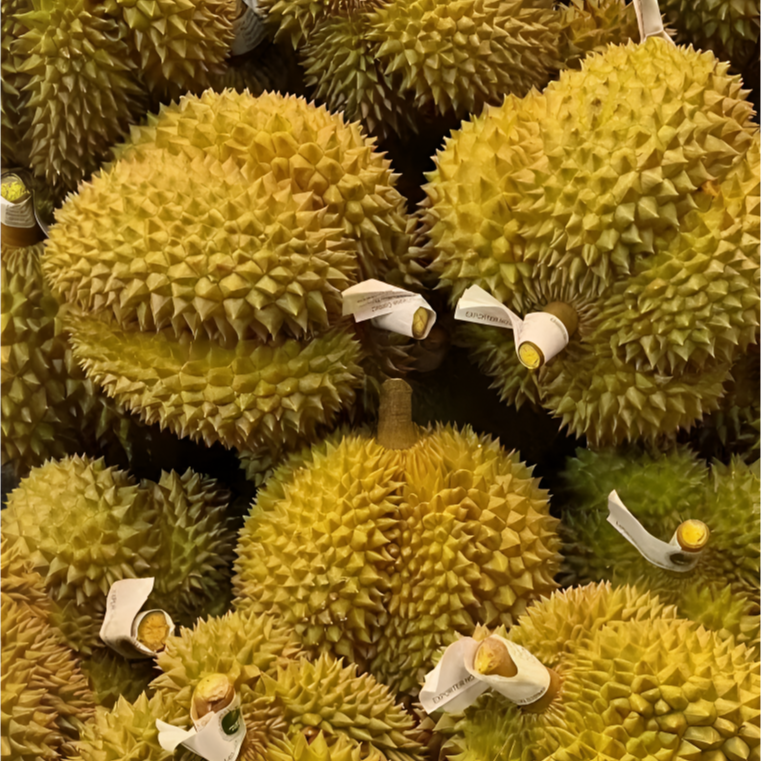 (精品国王）【顺丰包邮】泰国金枕榴莲鲜果带壳树熟新鲜榴莲核小6斤以上果王一果一重榴莲同城送金枕泰国东部